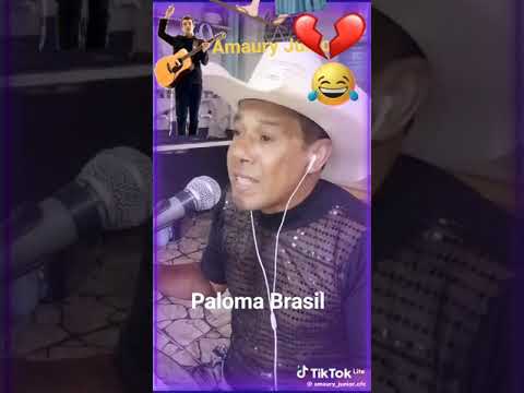 Amaury junior Paloma Brasil