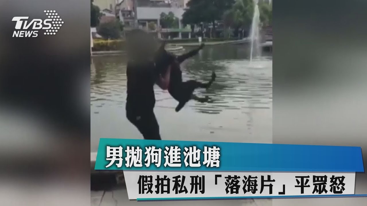 男拋狗進池塘 假拍私刑「落海片」平眾怒