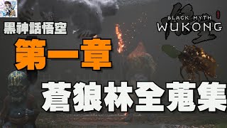 [問題] 黑悟空 大頭寶寶