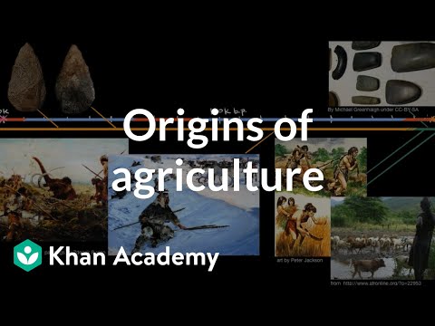 The Neolithic Revolution and early agriculture (video) | Khan ...