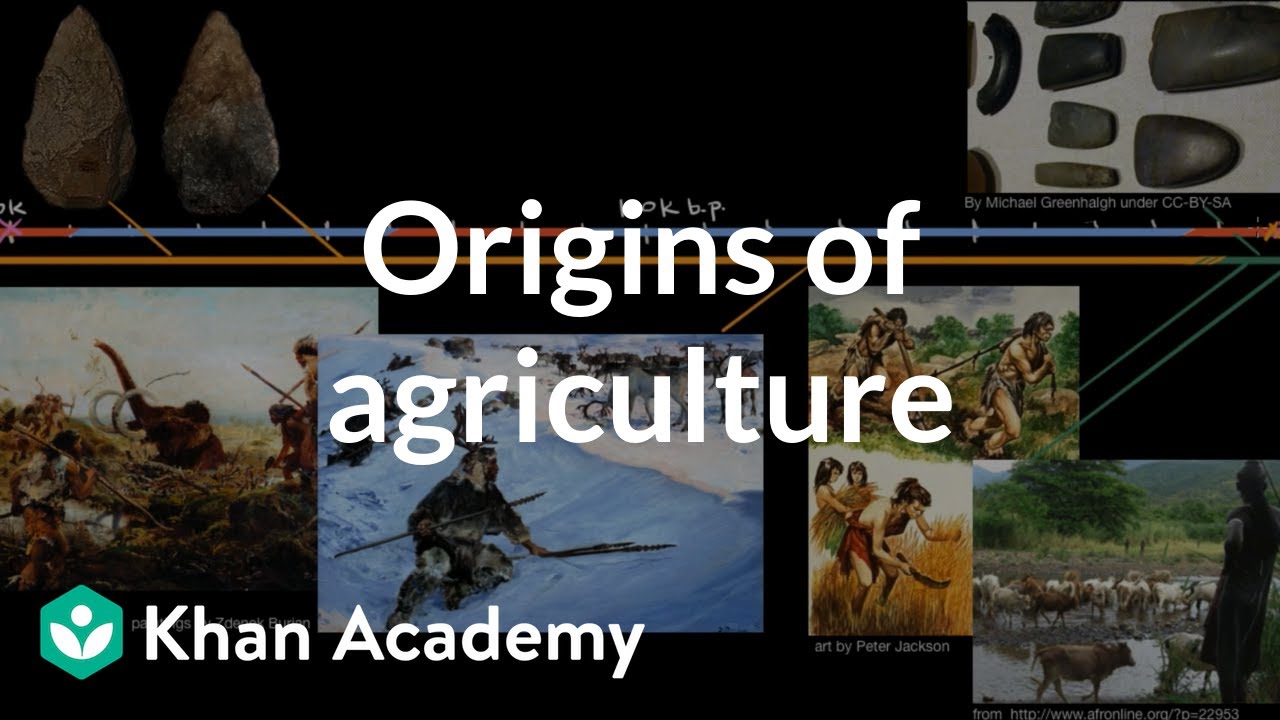 Origins of agriculture  | World History | Khan Academy