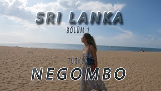 Sri Lanka da İlk ve Son durak NEGOMBO. Ziyaret Etmeye Değer mi? | SRİ LANKA SERİSİ BÖLÜM 1