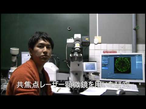 物質生命理工学科 細胞を探る様々な顕微鏡