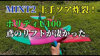 ミント2  小さなスロープ機で土手ソアリングを試してみました。　トンビの旋回に合わせて投入！ホリディU100が驚きの上昇！ ☆無動力　micro glider　DLG　100g未満　ラジコン飛行機