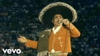 Vicente Fernández - Volver Volver (En Vivo)