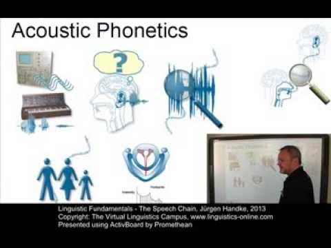 PHO102 - The Speech Chain