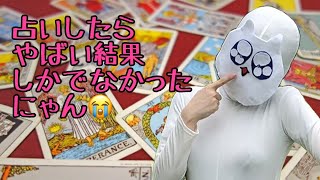 占いしてもらったにゃん♪