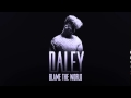 Daley - Blame The World 