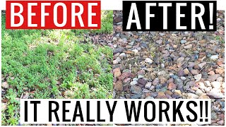 Homemade Natural Nontoxic WEED KILLER!! (This Really Works Bye Bye Weeds) | Andrea Jean Cleaning