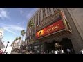 The Lion King Premiere Attendees Including Seth Rogen Reveal Their Spirit Animals