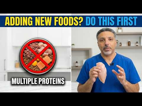 How to Expand Your Dog’s Diet Without Triggering Instability