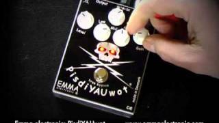 emma electronic PisdiYAUwOT ギターエフェクター Emma Electronic Pisdiyauwot Metal Distortion - What To Know
