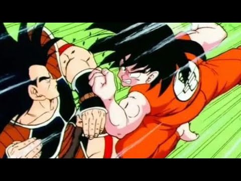 Radiz vs Goku