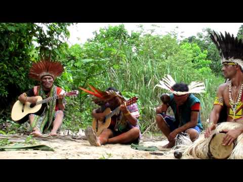 Shaman Songs of the Amazon Rainforest: Pasha Dume