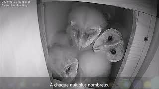 Livraisons à l'entrée