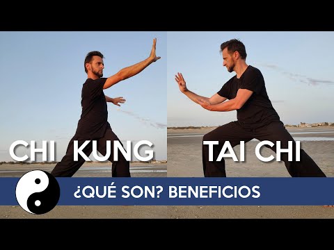 ✔️ DIFFERENCES between TAI CHI and CHI KUNG | Are they the same thing? 🤔