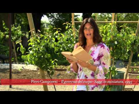 Parlando di Barbanera - Piero Camporesi - Il governo del corpo - Saggi in miniatura, 1995 - I