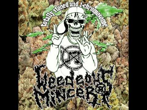 Weedeous Mincer "Totally stoned and 1-chromosome" (demo, 2014)
