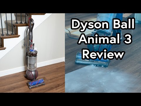 Dyson Ball Animal 3 Upright Vacuum Review