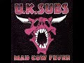 U K Subs   Mad Cow Fever