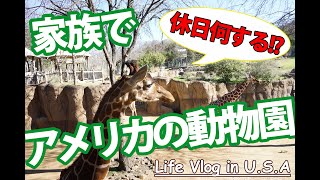 アメリカ子育てVlog｜家族でダラスの動物園に行ってきた！