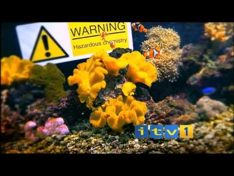 ITV1 ident 2005 - Celebraty Love Island - Underwater