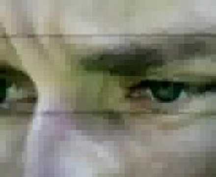 Rigore di Totti all'Australia