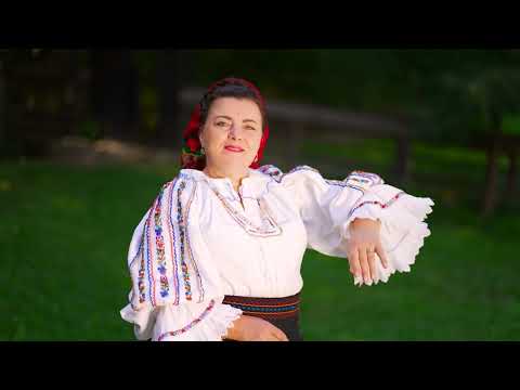 Ana Ilca - Tinerete pom oprit