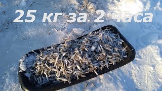 Как ловить на паук малька