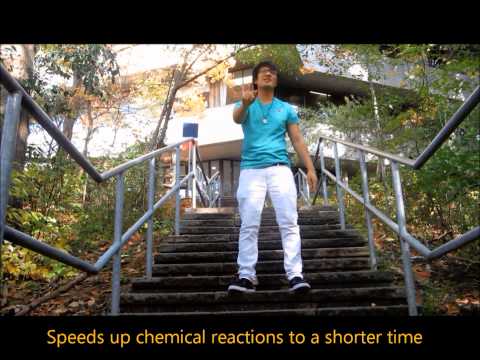 Catalysis - Sub & Strate ft. Dr. E-N-Zyme (BIOB34, Fall 2014)