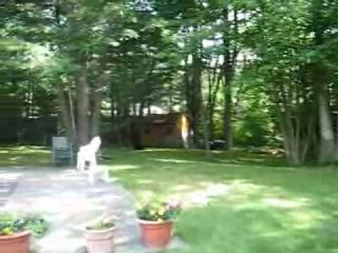 5 Frederick St Chelmsford MA Video Tour by The Gracy Team