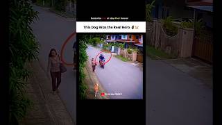 Download lagu Pov: Never underestimate a dog 🐕 💀 #shorts #mindset #motivation #discipline #viralvideo #foryou mp3