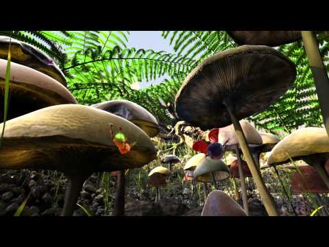 The Life of Trees - Trailer