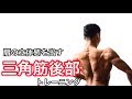 立体的な肩の作る㊙︎種目【三角筋後部・リアデルト】