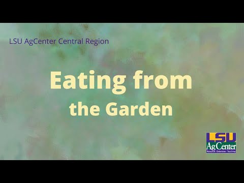 Holiday Edition - Sugar Free Candied Pecans