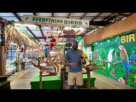 Private Tour of the LARGEST Parrot Store in Florida 🦜 | Everything Birds