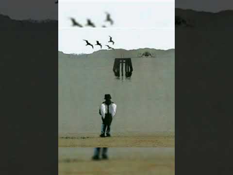 (11) un par de fantasmas (pajaritos bravos, muchachitos, 2013) el indio solari