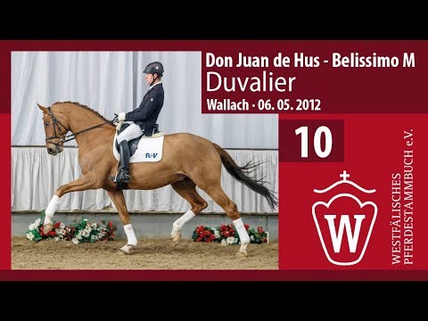10 Duvalier  Wallach v.  Don Juan de Hus - Belissimo