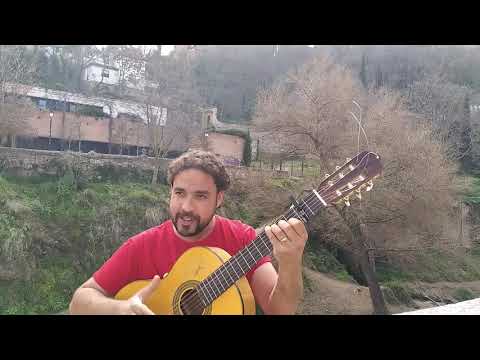 El chipiron sueños de papel