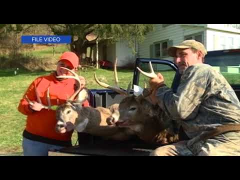 www discover com personal loans