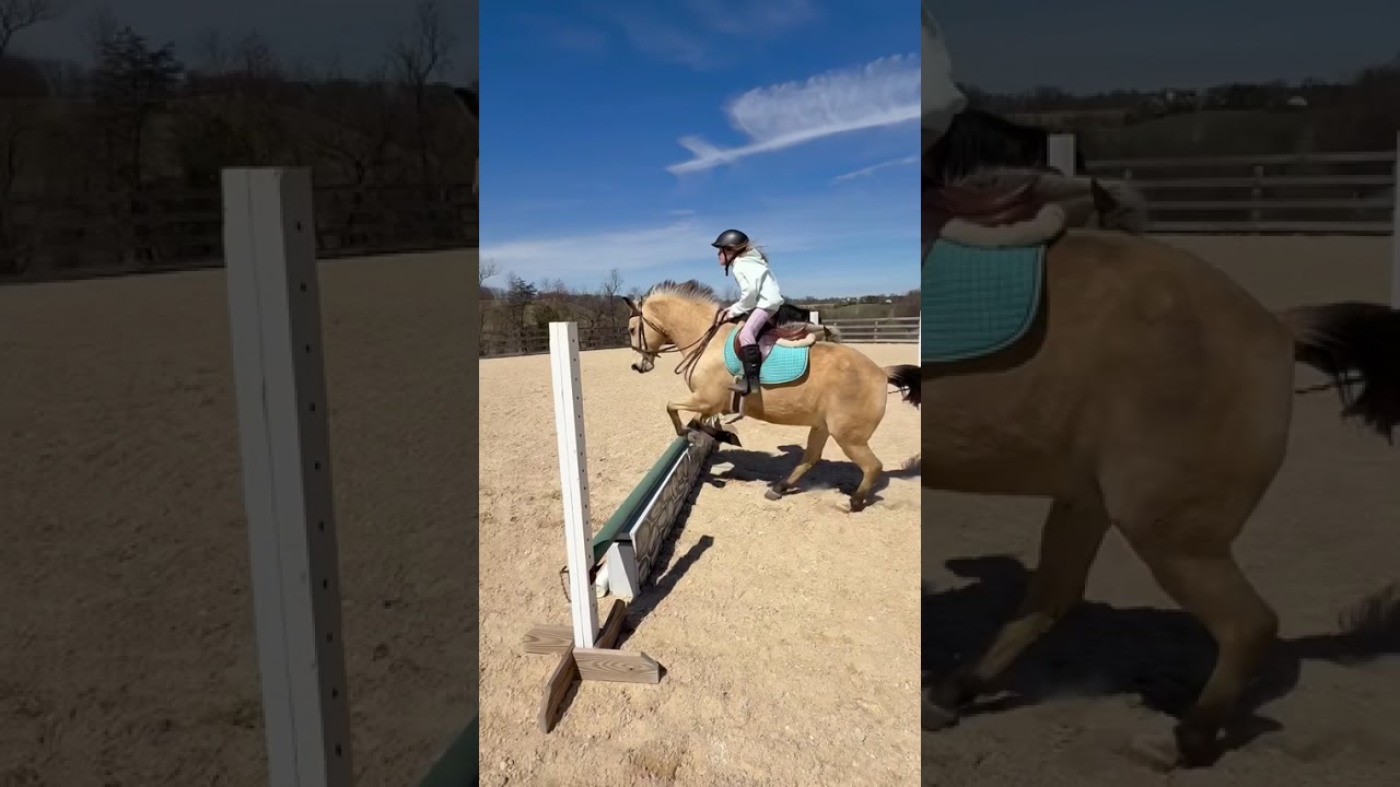 Casper and Kenna @ #horse #equestrian #riding #pony #horsegirl #jumping