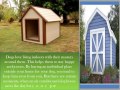 Your pet doesn’t require air conditioned dog houses!