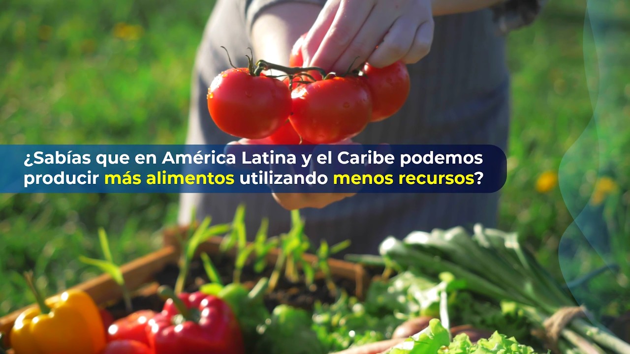 Producir más alimentos con menos recursos sí es posible: claves para impulsar la productividad