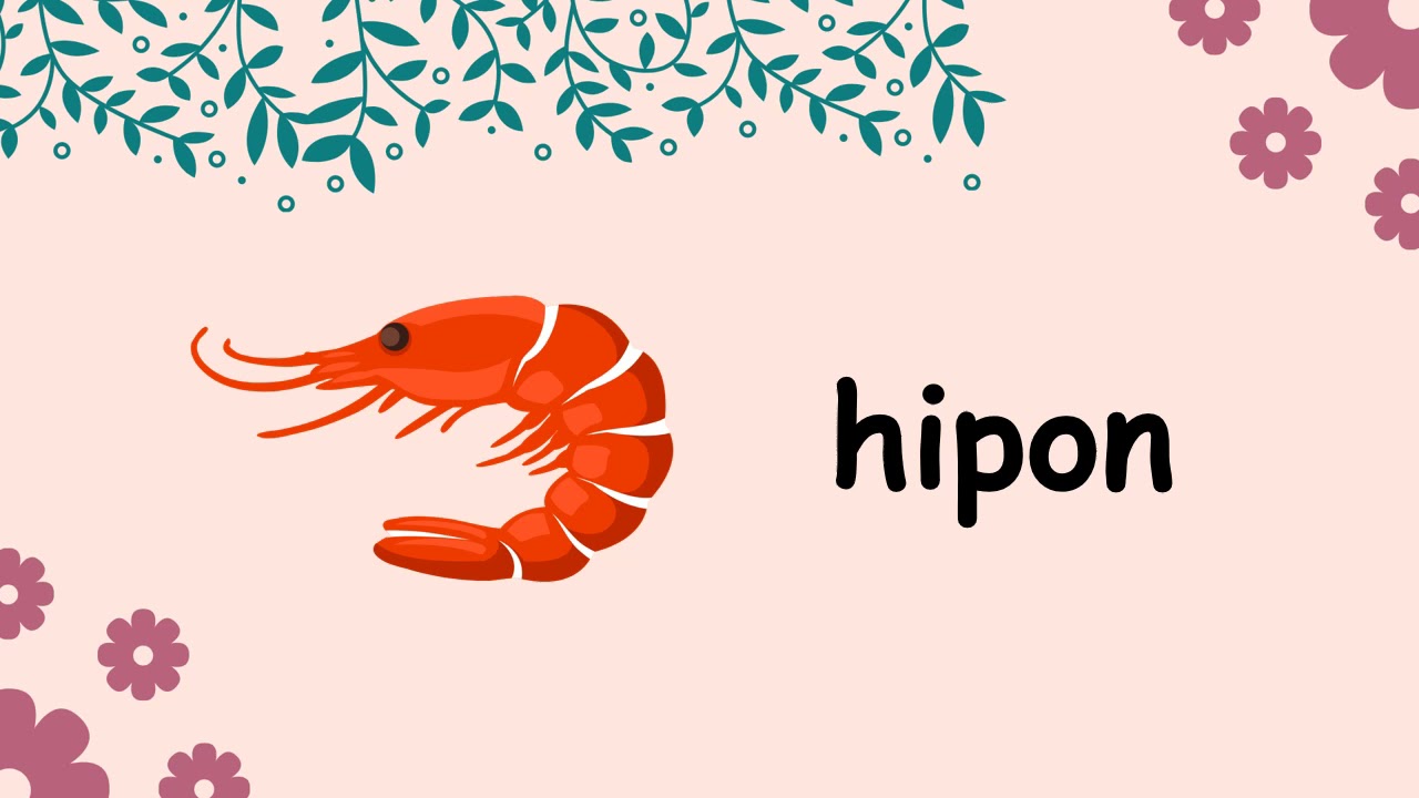 Mga Bagay na Nagsisimula sa letrang Hh