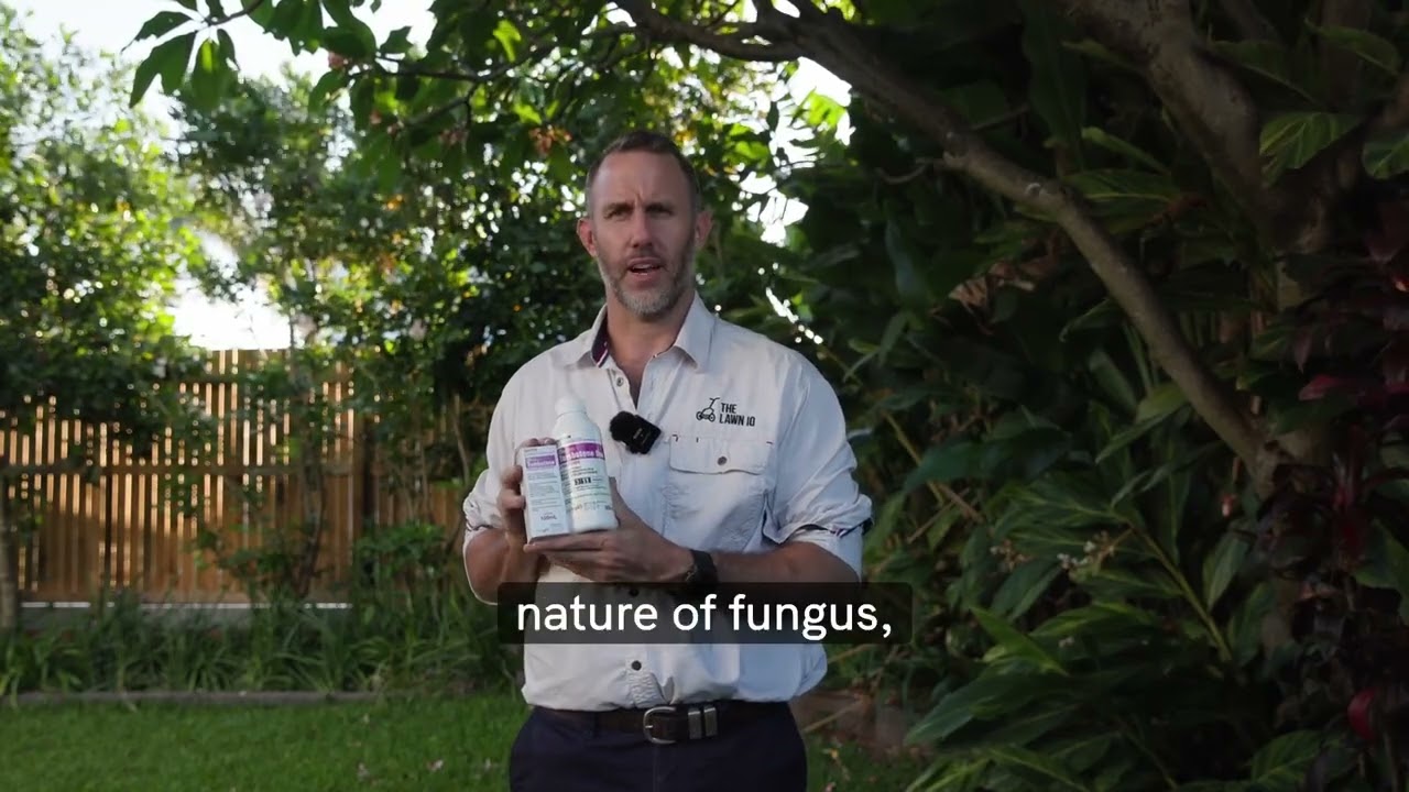 Tombstone Duo Fungicide