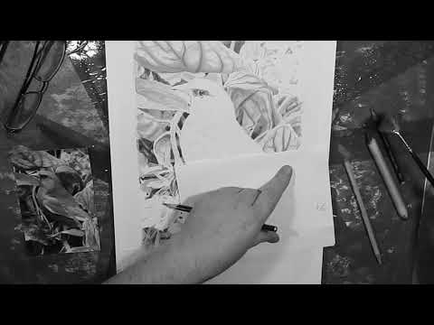 Greenfinch Project: Part 10b- Rendering with HB