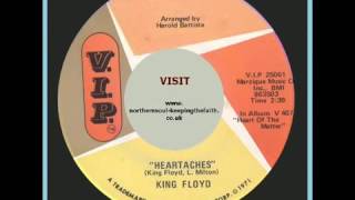 Black Lives Do Matter - The Transgender Lites (2016) Guubu Records