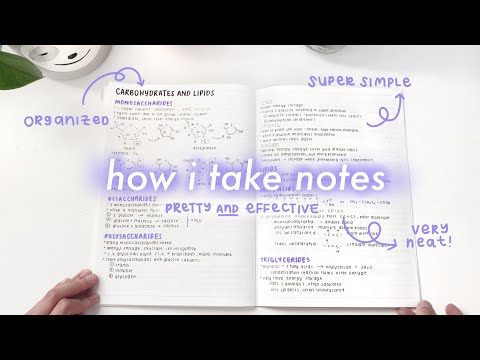 simple and aesthetic notes ♡ // my note-taking process ~