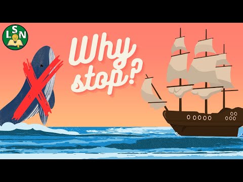 捕鯨産業を破壊した微妙な変化