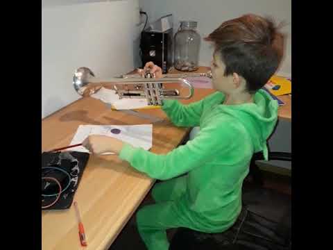 Wout en de trompetles... het leuke gevolg van een kleine anekdote